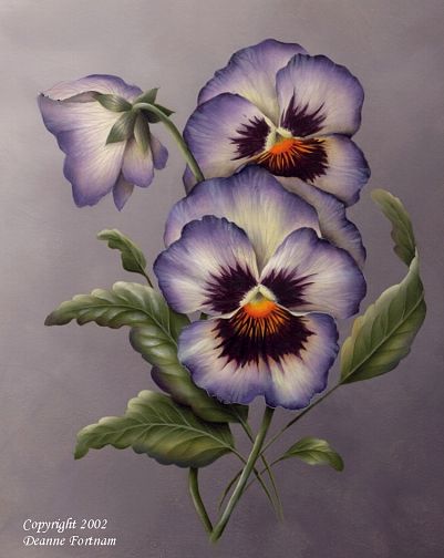 Violet Pansies - Use your browser's back button to return